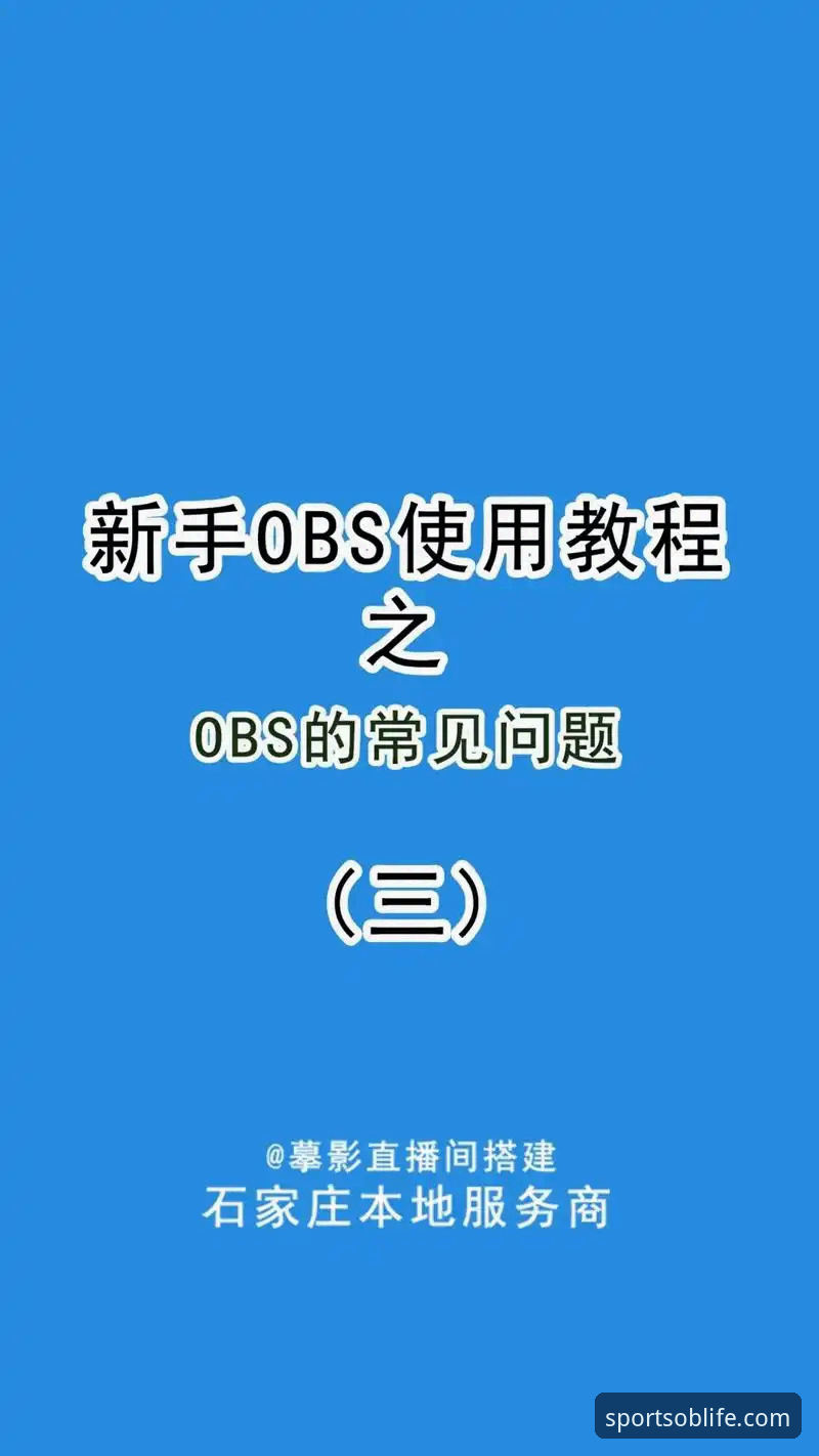 OBSPORT安卓安装包下载与安装操作教程：从入门到精通